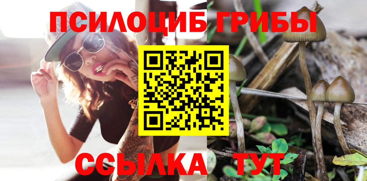 Псилоцибиновые грибы ЛСД  Вход с VPN  купить   Галлюциногенные грибы Magic Shrooms  Мариинск 